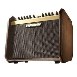 1565422491917-48.Fishman, Acoustic Guitar Amplifier, LoudBox Mini PRO-LBX-UK5 (2).jpg
